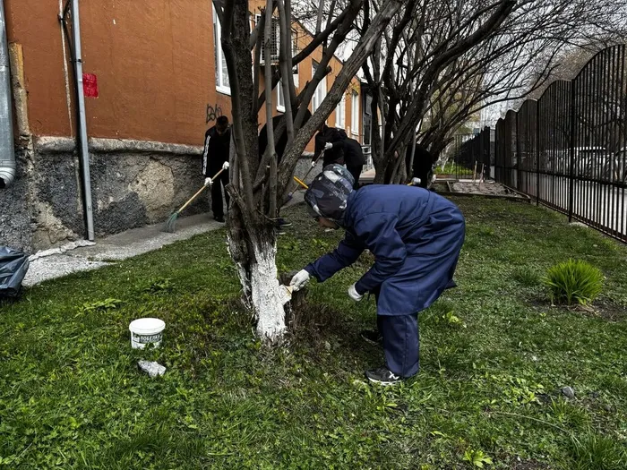 8e4ec9cd-0867-4dc5-a26e-524c5a3c3597